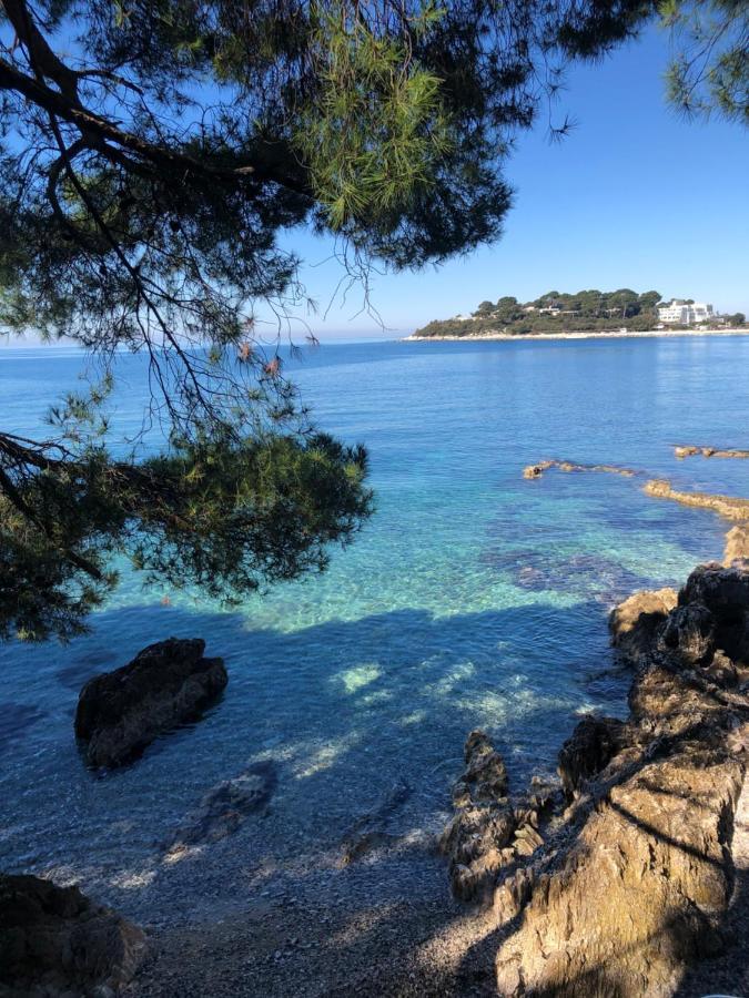 Luce * Porec